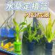 家用鱼缸水草定植篮水草泥沉底固定器造景装 饰固根神器