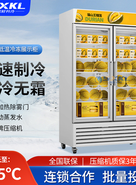 立式冷冻柜超市冰淇淋海鲜商用