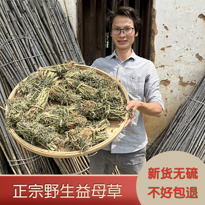 野生益母草农家无硫晒干中药材