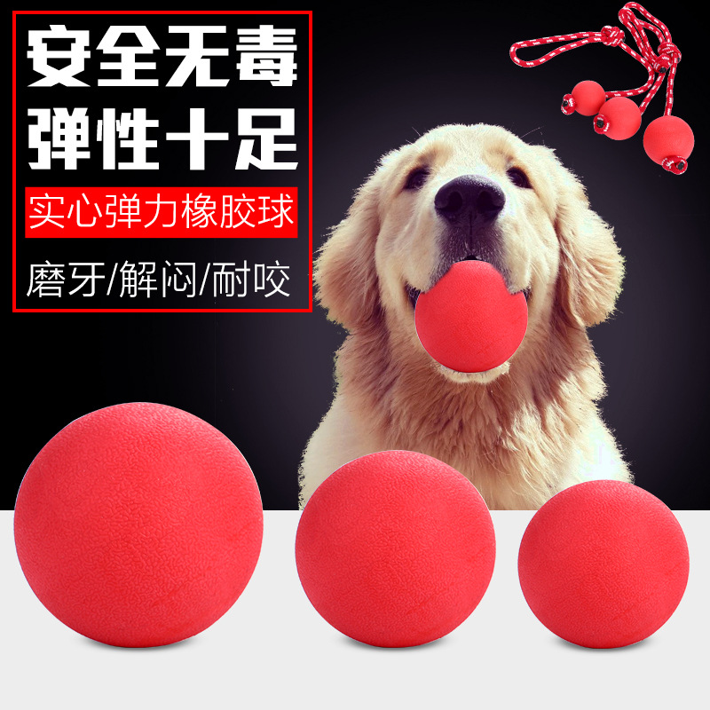 寵物耐咬訓練實心球橡膠彈力球泰迪金毛玩具狗球訓狗球訓犬球咬球在類目 寵物/寵物食品及用品, 貓/狗玩具, 橡膠球/球形玩具中 - 來自Buy2taobao.com提供專業的淘寶代購服務