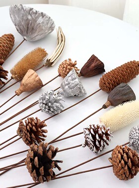 【带杆松果】北欧名宿风天然真松果花束diy家居插瓶装饰干花摆件