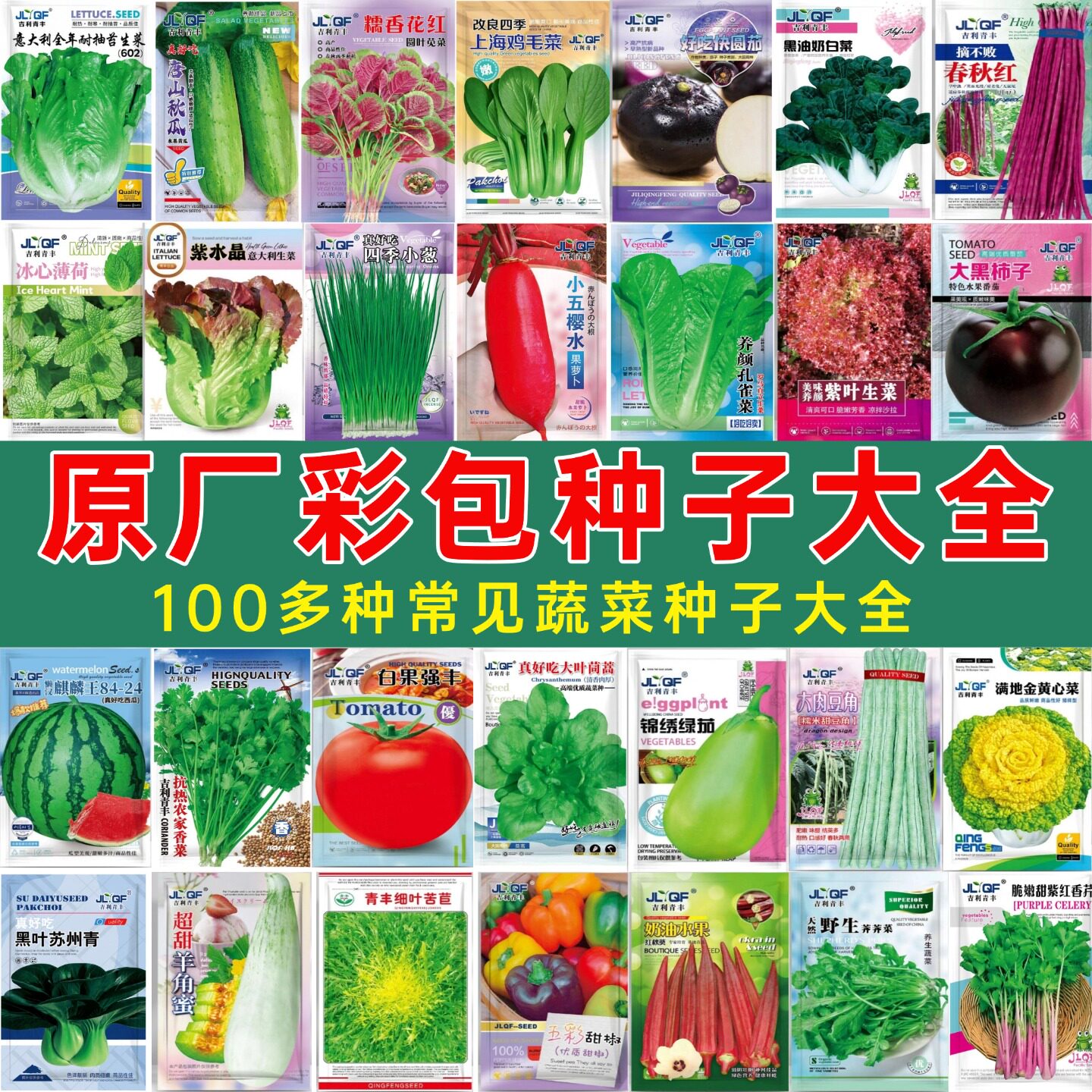 蔬菜种子四季阳台盆栽菜种籽大全
