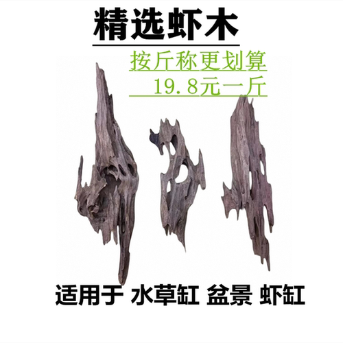 虾木多孔躲避镂空蜂窝木龙骨