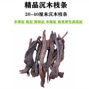 沉木枝条南美鱼缸造景装饰摆件水陆溪流草缸雨林缸杜鹃根莫斯树干