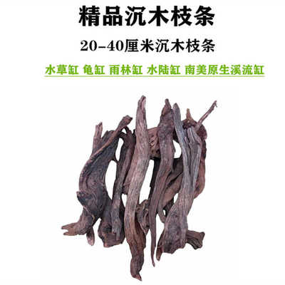 雨林缸莫斯树干沉木枝条