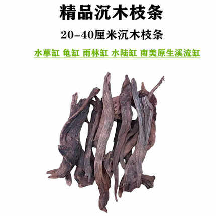 沉木枝条南美鱼缸造景装饰摆件水陆溪流草缸雨林缸杜鹃根莫斯树干