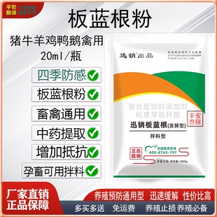 板蓝根粉猪牛羊增加抵抗猪圆环蓝耳鸡鸭禽用黄白绿便清热感利咽冒