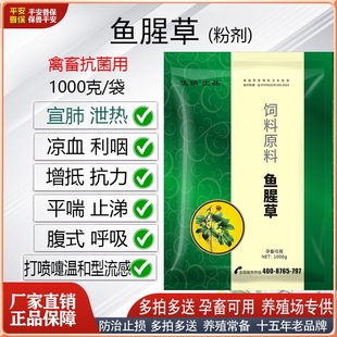 平安兽保鱼腥草粉畜禽抗菌抗炎清热解毒猪牛羊鸡鸭鹅鸽狗凉血利咽