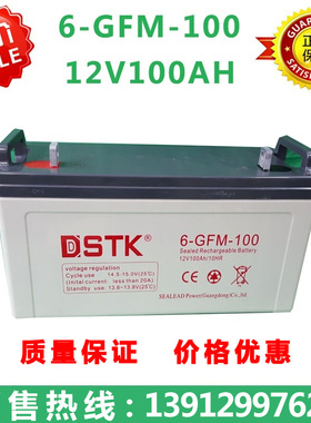 DSTK电源蓄电池12V100AH/6-GFM-100 NP100-12免维护铅酸阀控电池