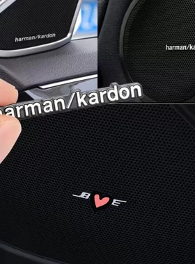 丹na音响标汽车音响贴标装饰CC 迈腾 途昂 帕萨特 凌度喇叭罩标志