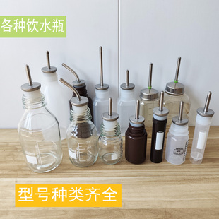 小鼠实验水壶水瓶小白鼠饮水器实验室大鼠花枝鼠水壶可高温可开票