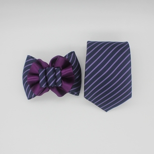 光大银行新款手打领带懒人易拉得拉链领带女士头花发夹银行无标记