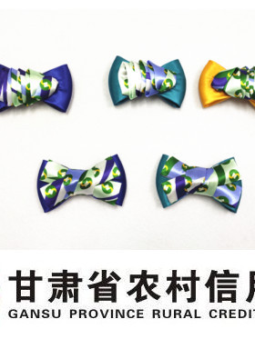 甘肃农商头花发网兜发夹时尚