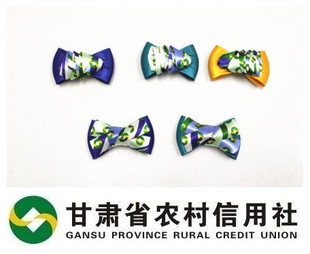 甘肃省农村信用社头花发网兜发饰发夹 甘肃农商发夹发饰定做