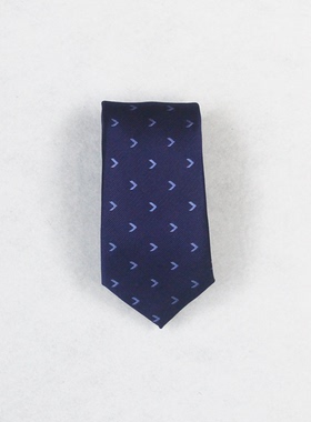 安徽奇瑞汽车4S店职业装男士手打拉链易拉得懒人领带蓝色设计定做