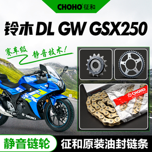 适用铃木GW250 GSX250R DL250静音牙盘链盘大小飞链轮油封链条