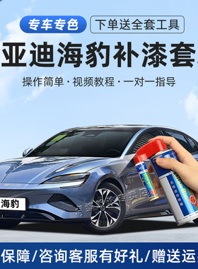 适用比亚迪海豹补漆笔亚特兰蒂斯灰北冰蓝黑色06车划痕修复自喷漆