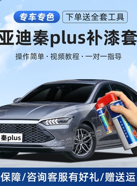 适用25款比亚迪秦plusdmi补漆笔时光灰雪域白色汽车划痕修复喷漆