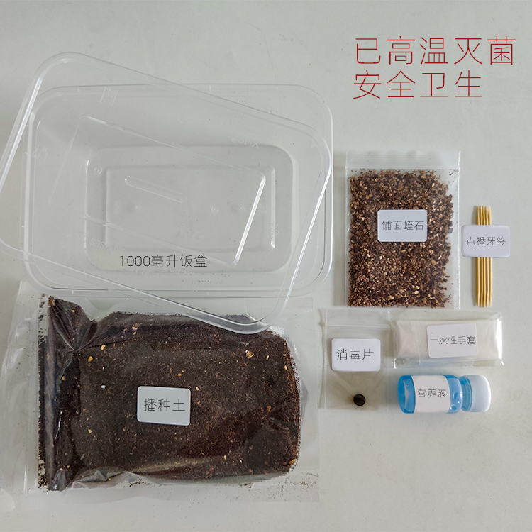 肉锥生石花景天仙人球肉锥通用播种套装【叽叽喵喵多肉工具】