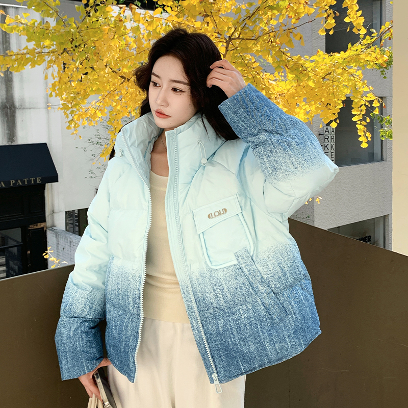 【现货】晕染渐变色50绒羽绒服B228-A665-P260控388，女装羽绒服，浙宝228