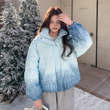 【新品现货】晕染渐变色50绒立领羽绒服B228-A667-P250控368，女装羽绒服，浙宝228