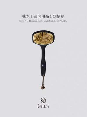 ÉclatLife｜楝木干湿两用晶石短柄刷 eclatlife W13
