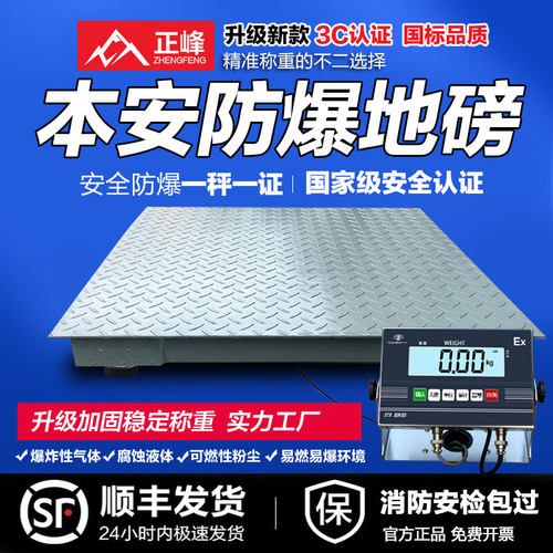 防爆地磅秤电子秤磅秤正峰