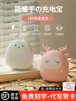 Rechargeable hand warmer Two-in-one electric hand warmer Warm baby cute female student portable small mini portable hot water bottle
