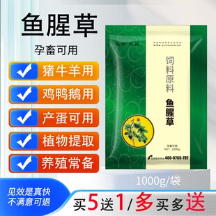 兽用鱼腥草粉畜禽用清热解毒猪牛羊鸡鸭鹅孕畜产蛋可用原料鱼腥草