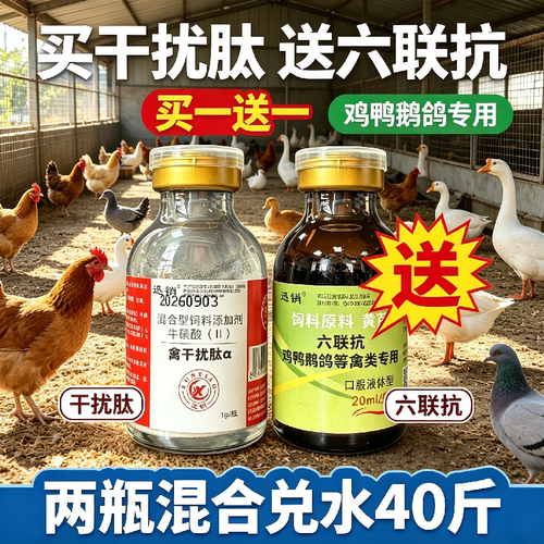 禽用干扰肽素稀释六联抗鸡鸭鹅鸽用禽专用鸡鸭鹅鸽用两瓶兑水40斤