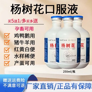 杨树花口服液兽用止痢牛羊小猪肠焱炎鸡禽黄白痢水样稀便白头翁散