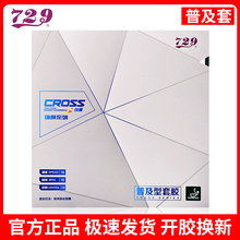 友谊729普及套乒乓球拍胶皮兵乓球套胶片训练反胶专用彩色绿蓝紫