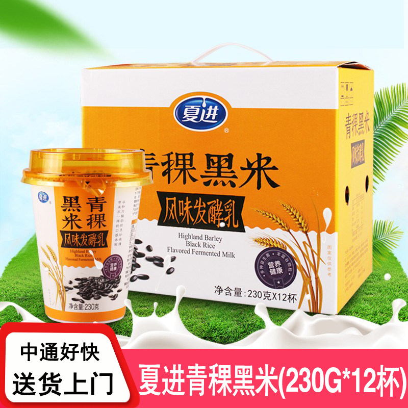 夏进青稞黑米风味发酵酸奶12杯