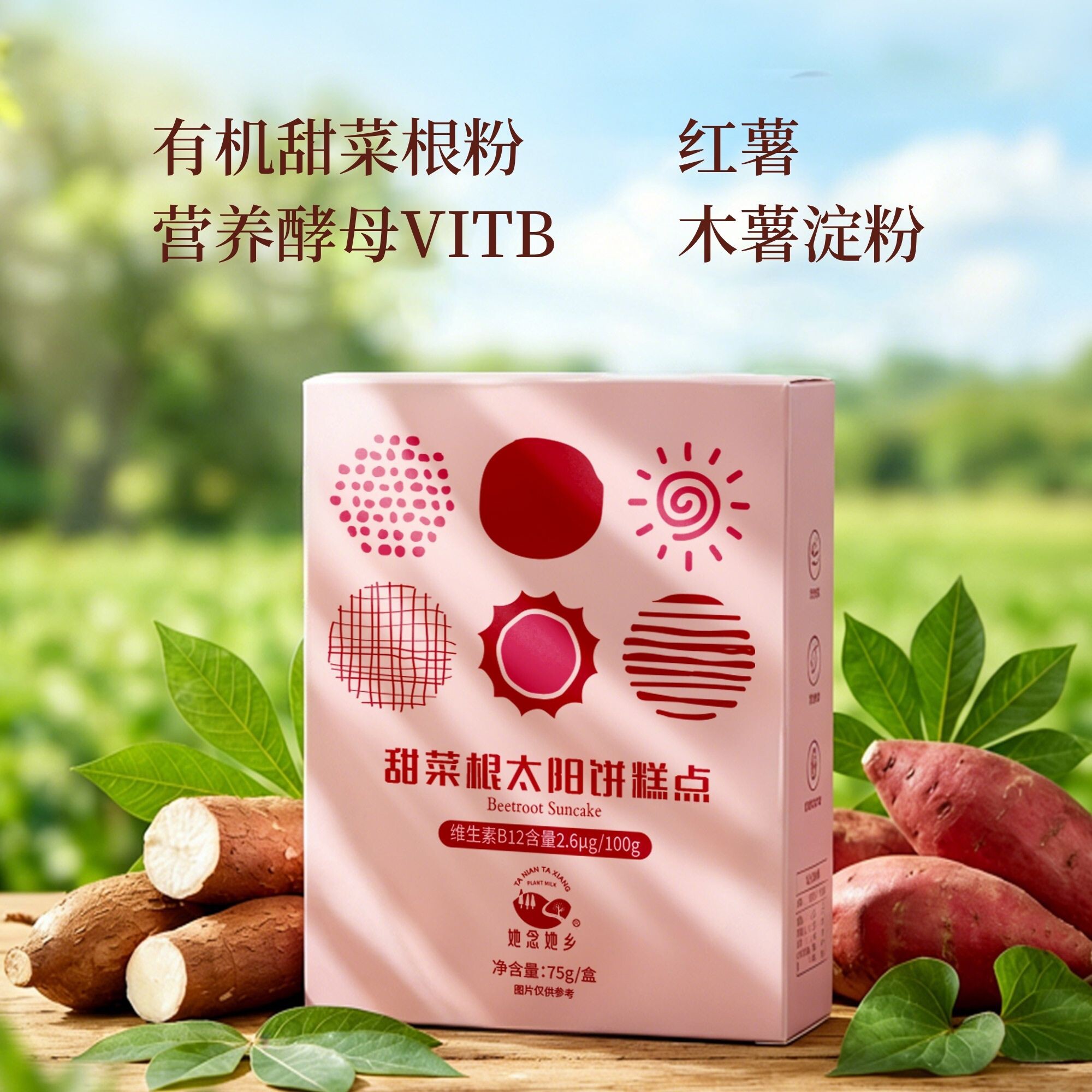 纯素甜菜根太阳饼糕点她念她乡不含牛奶无鸡蛋乳糖不耐受蛋奶过敏