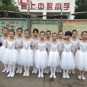 六一儿童演出服女童芭蕾舞裙白色蓬蓬纱裙小天鹅舞蹈服公主裙新款
