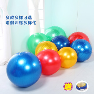 感统按摩大龙球儿童前庭训练器材触觉早教运动健身家用充气教玩具