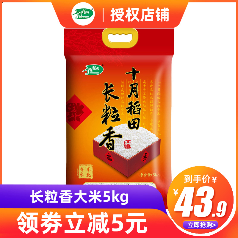 【2023新米】十月稻田东北大米10斤长粒香大米5kg黑龙江优质粳米& 粮油调味/速食/干货/烘焙 大米 原图主图
