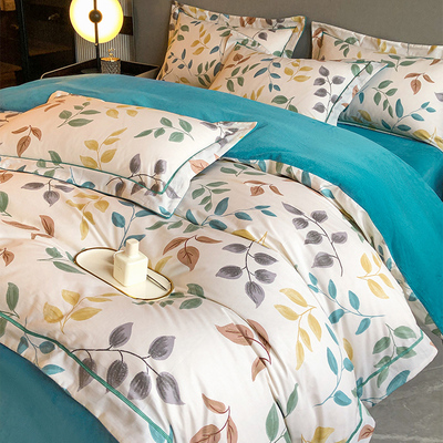 一面全棉一面暖绒四件套