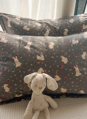 全棉枕套一对装100纯棉枕头套学生宿舍40x60加大枕芯套50x80一只.