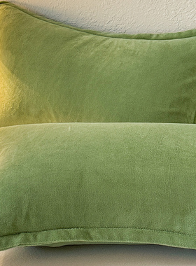 冬季牛奶绒枕套50cmx80cm加大大尺寸珊瑚法兰绒枕头套2025年新款.