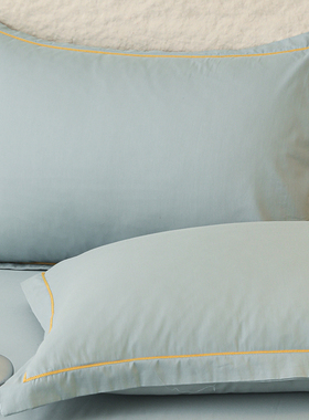 纯棉大枕套一对装50x80全棉枕头套48x74大尺寸枕头套2025新款家用