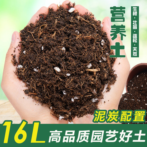 营养土腐殖土月季花土泥炭土绣球