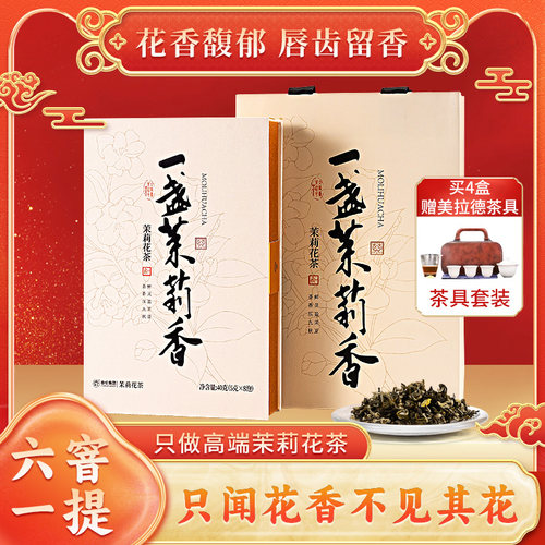 福建优质茶叶绿茶新茶浓香型礼盒