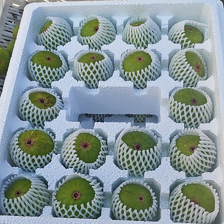 威海乳山特产青皮无花果软糯蜜甜无花果