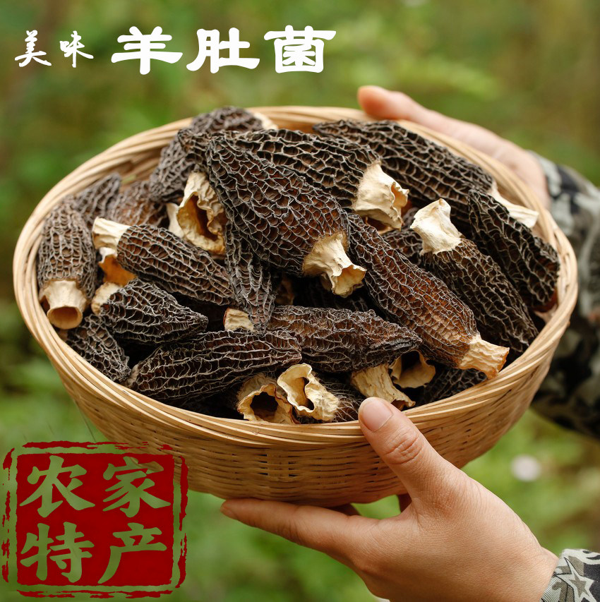 秦岭陕西略阳华野特产羊肚菌干货50克罐装煲汤袋装精选头茬无根炖