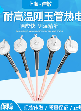 WRN-122/WRN-132热电偶K型 陶瓷热电偶 耐酸耐碱 熔化炉热电偶阻