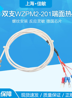 上海自动化仪表三厂端面热电阻WZPM-201 PT100双支六线 WZPM2-201
