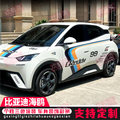 比亚迪海鸥车身拉花贴纸划痕遮挡