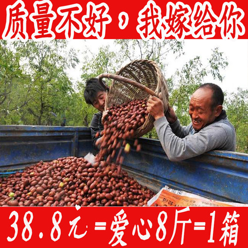 黄河滩枣临县红枣山西特产散装农家即食大枣子一箱8斤装