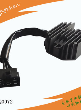 摩托车整流器适用Suzuki AN400  AN250  Burgman 250 Skywave 250